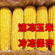 商超同款10根】新店沖量東北糯玉米黃糯玉米真空包裝當季糯玉米 【10棒】均重300克以上大棒】 新店沖量【活動(dòng)】每人1單已搶25W