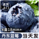 京地達(dá) 藍(lán)莓丹東藍(lán)莓 單果18mm+凈含量125g*4盒新鮮水果源頭直發(fā)包郵