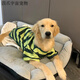 狗狗衣服 大型犬春夏薄款條紋衣服拉布拉多金毛網(wǎng)紅潮牌狗狗衣服 綠色條紋 4XL(建議30-40斤)