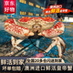 澳洲進(jìn)口新鮮皇帝蟹10斤 巨型擬濱蟹霸王蟹 鮮活螃蟹蟹類(lèi)生鮮水產(chǎn) 皇帝蟹 5斤 【鮮活到家】