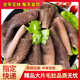 趕牛人大片毛肚新鮮 千層肚 黃牛百葉牛雜金錢(qián)肚 葉片 商用火鍋冒菜食材 精品毛肚1斤 新鮮日期（發(fā)順豐快遞）