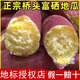 億喜農(nóng)海南澄邁富硒橋頭地瓜新鮮農(nóng)家沙地板栗紅薯番薯孕婦寶寶輔食現(xiàn)挖 橋頭地瓜凈4.5斤【單果50g+】