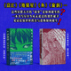 地獄星+魚+旋渦+伊藤潤二短篇精選集 全套6冊 簡體中文版午夜文庫系列富江漫畫日本恐怖懸疑漫畫暢銷書籍 正版 伊藤潤二的漫畫術(shù) 恐怖誕生的地方