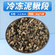 奈寵魚食冷凍麥穗魚河蝦泥鰍段大蝦仁新鮮速凍觀賞魚龍魚烏龜通用飼料 【冷凍泥鰍段】1000g*1袋（2斤)