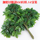 仿真樹葉人造塑料過膠假榕樹枝綠色植物戶外裝飾造景榕樹葉 過膠榕加密款/12支