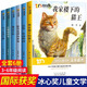 冰心兒童文學(xué)作品全集6冊(cè) 繁星春水冰心 寄小讀者 三四五六年級(jí)閱讀課外書現(xiàn)代小學(xué)生詩集6-12歲小學(xué)生課外書冰心散文集櫻花贊最后的使者 冰心兒童文學(xué)獎(jiǎng)【全6冊(cè)】