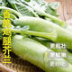 廣東潮汕雞腿芥蘭本地農(nóng)家自種芥藍純天然新鮮芥蘭當季現(xiàn)摘綠葉菜 凈重3斤