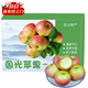 百橙戀東北特產(chǎn)國光蘋果 新鮮瓦房店小蘋果老式笨蘋果水果禮盒中秋送禮 精品國光蘋果3斤【無禮盒】
