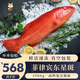 狐司令菲律賓進(jìn)口東星斑新鮮石斑魚(yú)生猛海鮮水產(chǎn)深海魚(yú)燕尾斑冷凍順豐 1800-1900g 一條裝