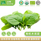 有機(jī)匯有機(jī)木耳菜 時令沙拉有機(jī)蔬菜 基地自種新鮮采摘 營養(yǎng)健康無農(nóng)殘 250g
