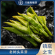 唯茶坊安吉開(kāi)園老樹(shù)頭采白茶明前特級嫩芽白葉一號2025新茶500g高端綠茶