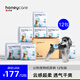 HONEYCARE好命家 狗狗紙尿褲公狗尿不濕安全褲 S適用體重4-7kg/12片12包裝