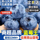 【順豐包郵】山東藍莓鮮果當季現發(fā)孕婦水果寶寶輔食高山藍霉新鮮 4盒（125g/盒） 小果12mm【嘗鮮試吃】