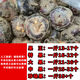 格沃斯廣西馬蹄荔浦正宗荸薺地梨現(xiàn)挖水果蔬菜特大實惠地栗農(nóng)家新鮮特產(chǎn) 新貨【帶泥發(fā)貨】脆嫩多汁 特級商品帶箱5斤果王85個以內(nèi)