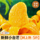 海南小臺農(nóng)芒果新鮮小臺芒水果當季整箱紅金玉大青煌 特惠裝3斤