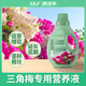 施可豐三角梅營養(yǎng)液開花專用肥料催花肥促花爆花冒花素盆栽爬藤