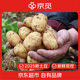 京覓恩施小土豆新鮮馬鈴薯湖北新鮮現(xiàn)挖黃心土豆洋芋5斤裝 源頭直發(fā)