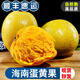 【順豐】新鮮雞蛋果 云南/海南蛋黃果 獅頭果熱帶水果香甜軟糯 單果120-200g 1000g