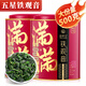 好韻當頭安溪鐵觀音特級茶葉2025新茶正宗蘭花香高山烏龍茶自己喝送禮長輩 【滿滿鐵觀音】2罐共500g+禮品袋 綿甜甘醇-安溪特級五星鐵觀音