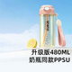 恩尼諾孕婦糖耐刻度水杯PPSU帶吸管孕產(chǎn)直飲吸管杯兒童成人480ML 帕尼肌