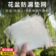 iosn花盆墊片網(wǎng)格網(wǎng)紗墊片多肉植物盆栽花卉盆景底部防漏防蟲專用網(wǎng)片 加厚墊網(wǎng)10cm*10cm【50片】