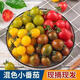四海上品彩色小番茄圣女果西紅柿青口蜜夏日陽(yáng)光千禧果新鮮采摘孕婦水果 【京東快遞】2斤裝