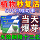 油藤植物再生劑濃縮營養(yǎng)液復(fù)活液水培花肥料室內(nèi)盆栽植物營養(yǎng)液通用型 植物再生劑 6支*1盒