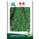 中蔬中國農(nóng)科院甘藍種子四季蔬菜種子基地用種青蓮羽衣甘藍種子100粒
