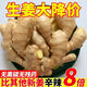 滇鮮生正宗云南小黃姜新鮮生姜農(nóng)家自種調(diào)味食材蔬菜月子姜整箱 鮮姜 3斤 《經(jīng)濟(jì)》