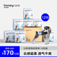 HONEYCARE好命家 狗狗紙尿褲公狗尿不濕安全褲XS適用體重2-5kg/12片12包裝 