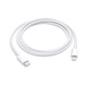 Apple USB-C/雷霆3 轉(zhuǎn) Lightning/閃電連接線 快充線 (1 米) iPhone iPad 手機(jī) 平板 數(shù)據(jù)線 充電線MM0A3FE/A*企業(yè)專享