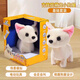 趣巢Kidcho趣巢旺旺家族兒童電動(dòng)毛絨聲音走路唱歌泰迪拉拉多玩具狗 旺旺家族之吉娃娃