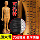 穴位圖人體經(jīng)絡(luò)穴位圖標(biāo)準(zhǔn)高清中醫(yī)養(yǎng)生艾灸推拿參考穴位圖 62cm穴位經(jīng)絡(luò)模型全身