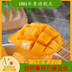 UNU正宗海南小臺農芒果新鮮應當季水果現摘熱帶芒果孕婦時(shí)令 精選3斤裝