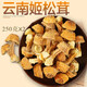 十里饞姬松茸干貨 云南特產(chǎn)食用甄選菌菇蘑菇松茸 500g