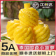 順豐泰國普吉島香水小菠蘿新鮮削去皮進口無眼金菠蘿新鮮鳳梨 商超A級金果（2-3個/斤）順豐 2斤