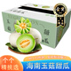 小筑傾橙海南玉菇甜瓜冰淇淋軟糯香瓜玫瓏瓜整箱水果禮盒當(dāng)季時(shí)令 5斤特選裝【2-3個(gè)】?jī)艄?.5斤
