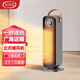 LOYK德國取暖器冷暖兩用家用立式暖風機2000W速熱搖頭小太陽電暖器臥室辦公室取暖神器全屋升溫 槍灰色【NF05】