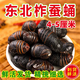 品吉味蠶蛹  東北特產(chǎn)柞蠶蛹  鮮活大體蟬蛹黃黑蠶蛹500g  活體繭蛹 A級(jí)大黑蠶蛹一斤【4-5cm】