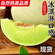 玉菇甜瓜冰淇淋香甜瓜2025當(dāng)季軟糯香甜山東水果綠肉當(dāng)季應(yīng)季生鮮 5斤裝【凈重4.5-5斤】【1-3個】