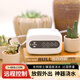 花言草語自動澆花器多泵wifi定時噴霧遠程智能灌溉系統(tǒng)土壤溫濕度澆水神器 3泵主機