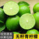 果農俠新鮮無(wú)籽青檸檬皮薄多汁小青檸香水檸檬新鮮檸檬 1斤裝