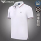 FALAMONE阿瑪尼短袖t恤男冰絲2025新款夏季寬松簡約高端polo衫男 A21001白色 L 175建議138-158斤
