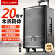新科 廣場舞音響大功率重低音移動家用戶外K歌藍牙拉桿便攜式音箱擴音器帶無線話筒 20吋組合三分頻+木質(zhì)箱+12吋低音