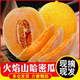 橙心果匠黃金蜜瓜9斤整箱黃金冰糖香瓜時(shí)令當(dāng)季新鮮水果甜瓜伊麗莎白黃皮W 3斤