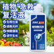 貝意品植物再生劑通用型發(fā)財樹(shù)綠植養花濃縮營(yíng)養液生長(cháng)液催芽生根花肥