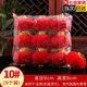 盛夏時光大紅植絨小燈籠掛飾發(fā)財樹上盆景掛件喜慶結(jié)婚室內(nèi)戶外場景裝飾品 【9個裝】10#