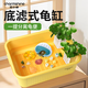 寵小帥生態(tài)烏龜缸雙層濾水綠植造景魚(yú)龜混養缸客廳水族箱底濾龜缸爬寵箱 黃色【47*36*15】雙層濾水缸