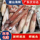鮮魷魚 活凍紅魷魚 無泡水潮汕海鮮水產(chǎn)海釣小管魷魚烏賊魚火箭魷 鮮魷魚（3-4個1斤） 1500g(凈重)