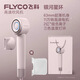 飛科高速吹風(fēng)機家用電吹風(fēng)筒大功率負離子護發(fā)速干學(xué)生宿舍節(jié)日送禮物 FH6371鉆石粉 送掛架